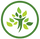Planter des arbres