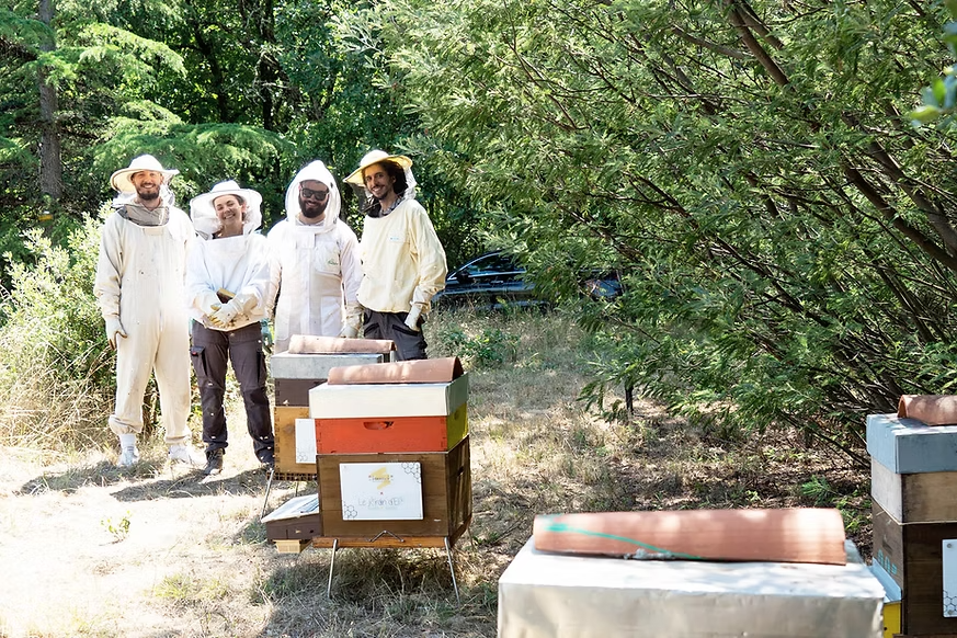 Équipe Protect fabrication e-liquides artisanaux Toulouse Occitanie protection abeilles